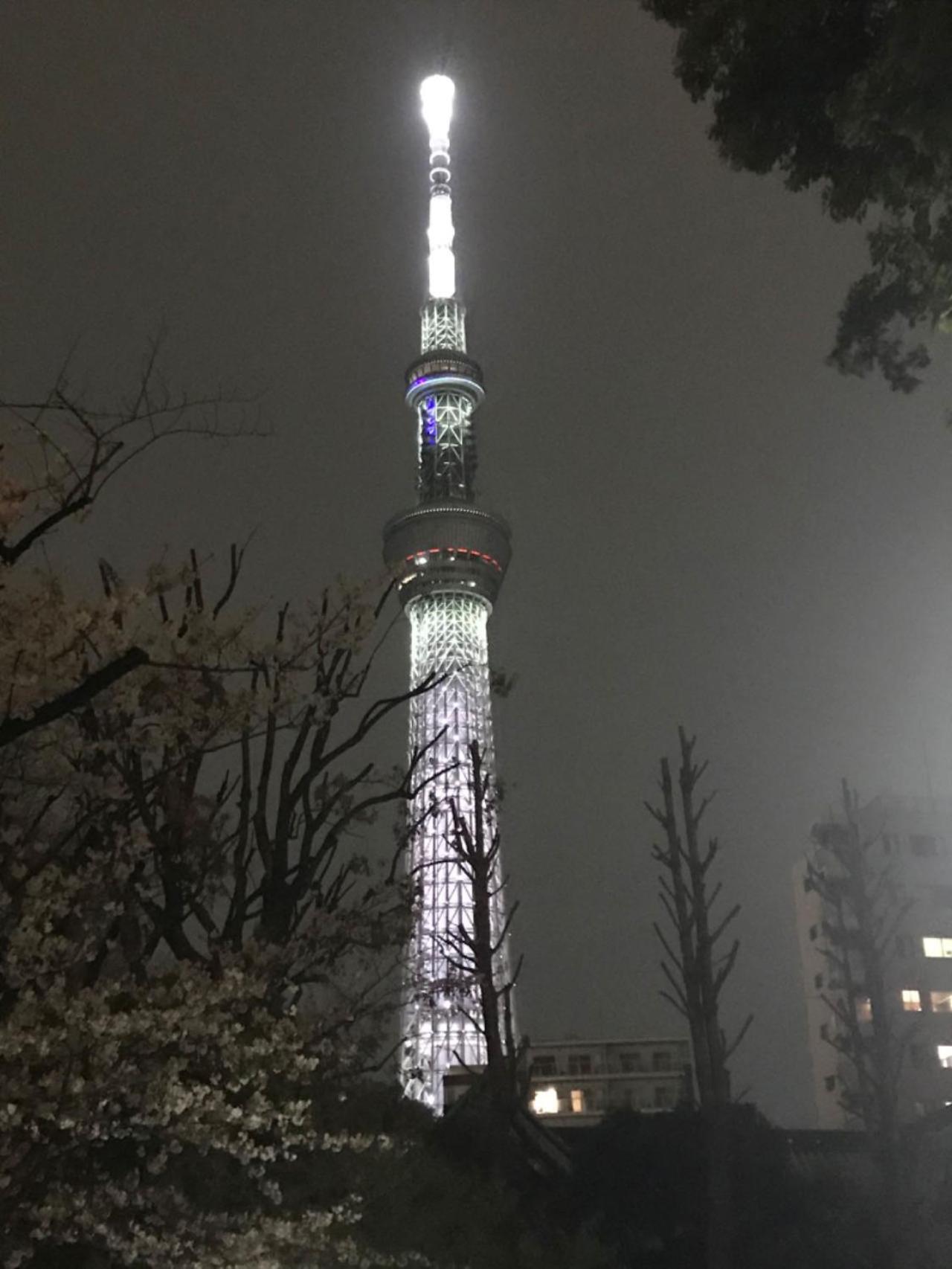 טוקיו Sky Tree Inn מראה חיצוני תמונה