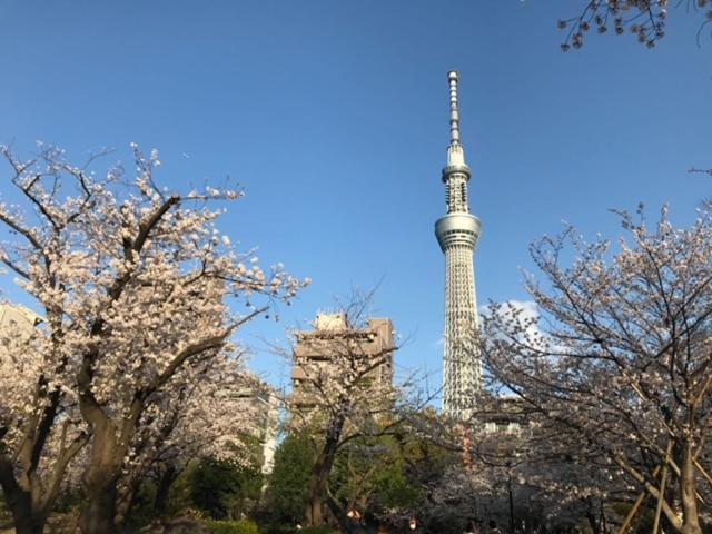 טוקיו Sky Tree Inn מראה חיצוני תמונה